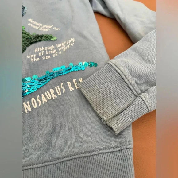 H&M dinosaur crewneck sweater for boy - Picture 2 of 5